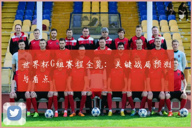 世界杯G组赛程全览:关键战局预测与看点