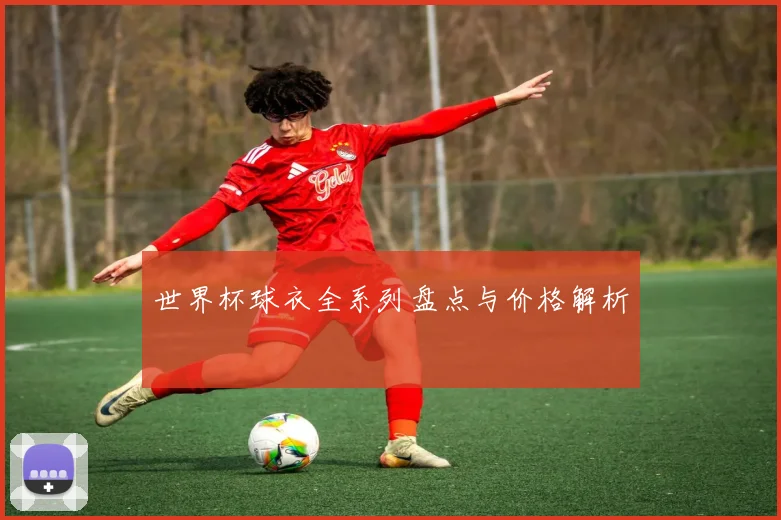 世界杯球衣全系列盘点与价格解析